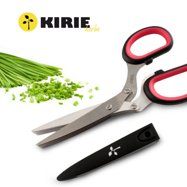 Tijeras para hierbas aromaticas con hoja en acero inoxidable (1 unidad) Kirie 1 kirie herb