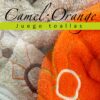 toallas camel