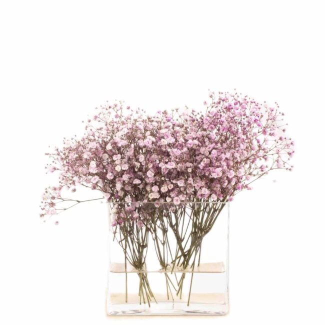 nimesNimes jarron florero con flores foradas.