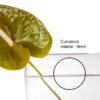 florero rectangular grande grosor