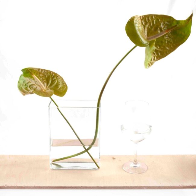 florero rectangular grande plantas