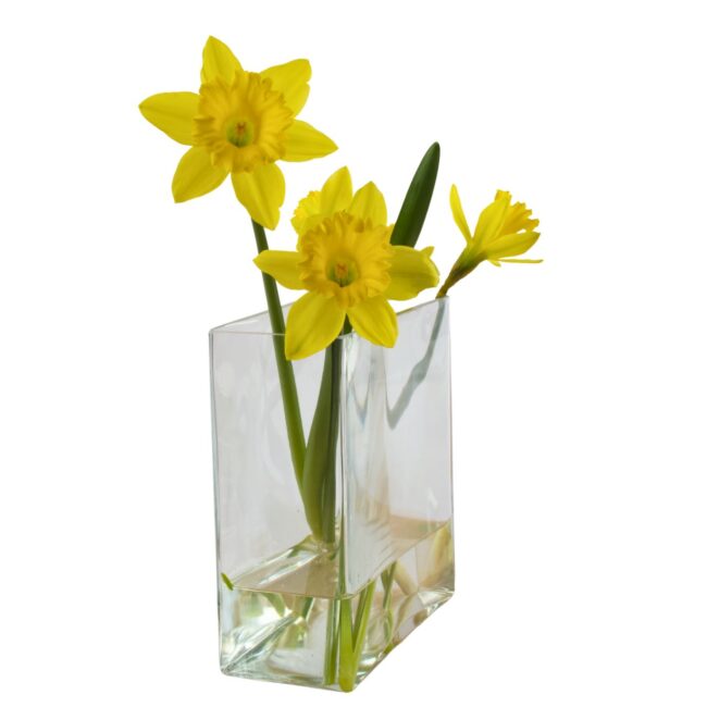 Jarron Florero de cristal hidropónico de 180 mm (1 pieza) Nimes, hecho a mano 1 nimes mediano jarrón florero de cristal natural hecho a mano. con flores amarillas