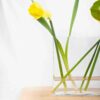 Nimes jarron florero con flores