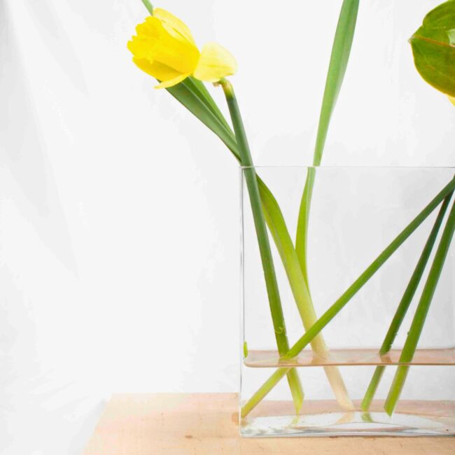 Nimes jarron florero con flores